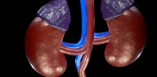 FDA retira el medicamento Cinacalcet Hydrochloride 90 mg por impureza química